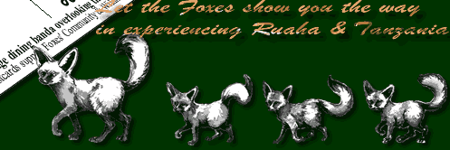 Let the Foxes show you the way to experience Ruaha. Find out more by clicking here!